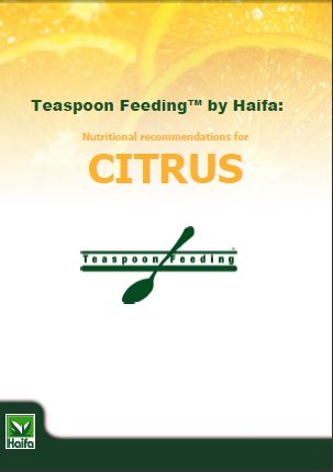 Ghid de cultivare a portocalelor